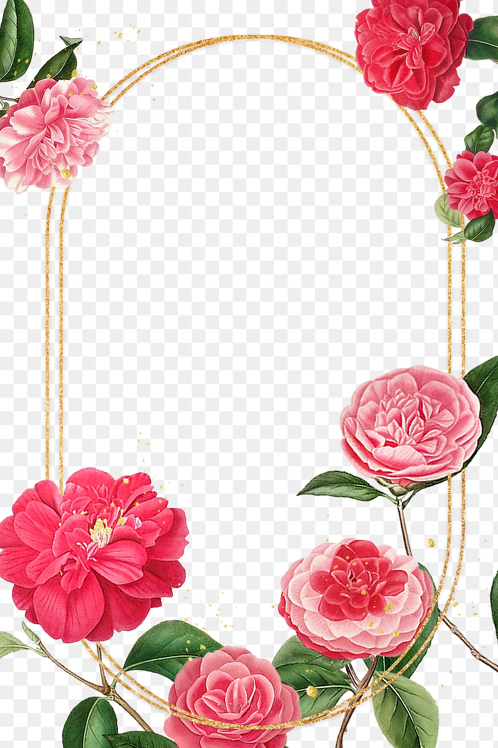 Red and pink camellia flower | Premium PNG - rawpixel