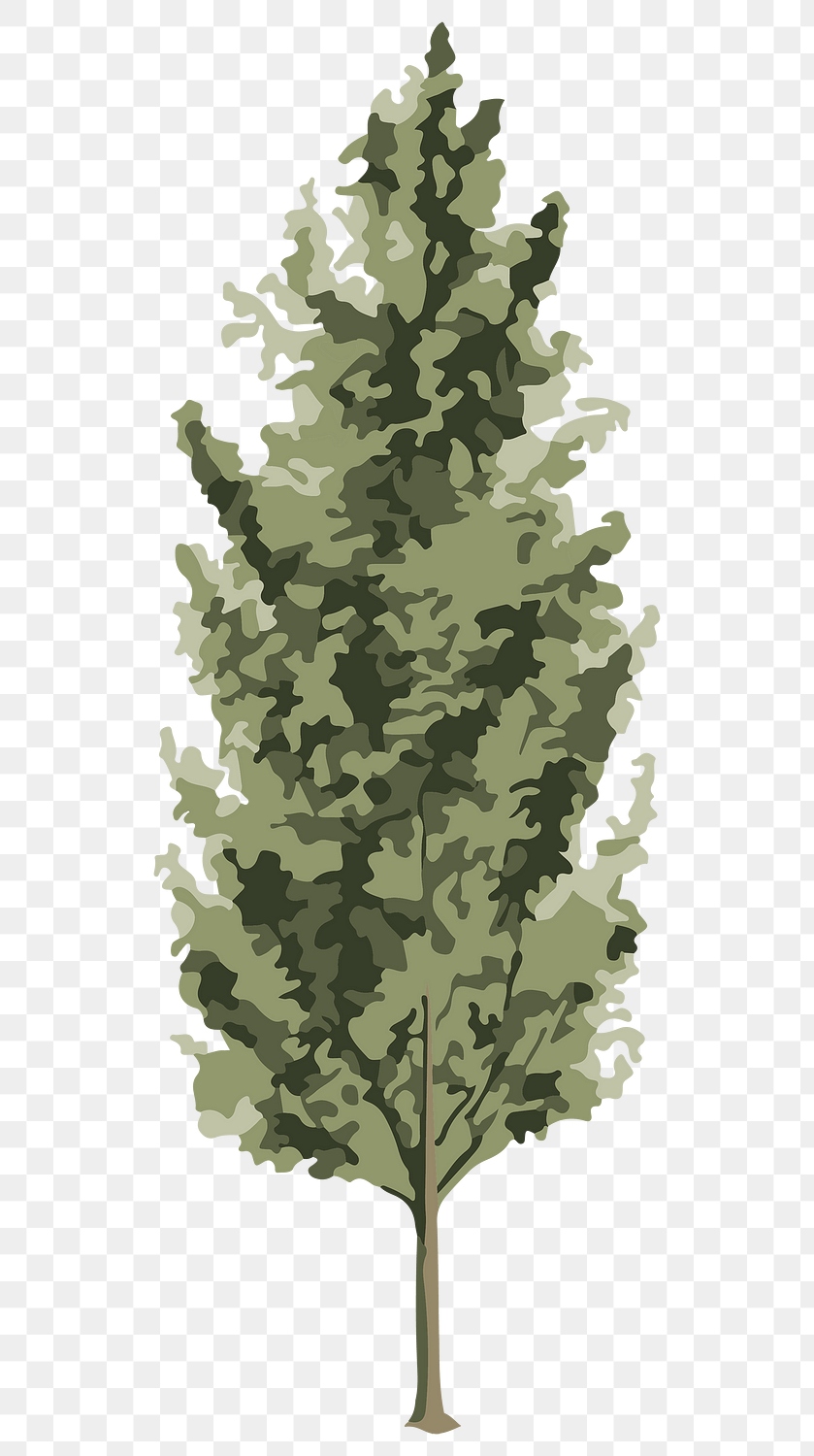 Vectorized spruce tree sticker overlay | Premium PNG Sticker - rawpixel