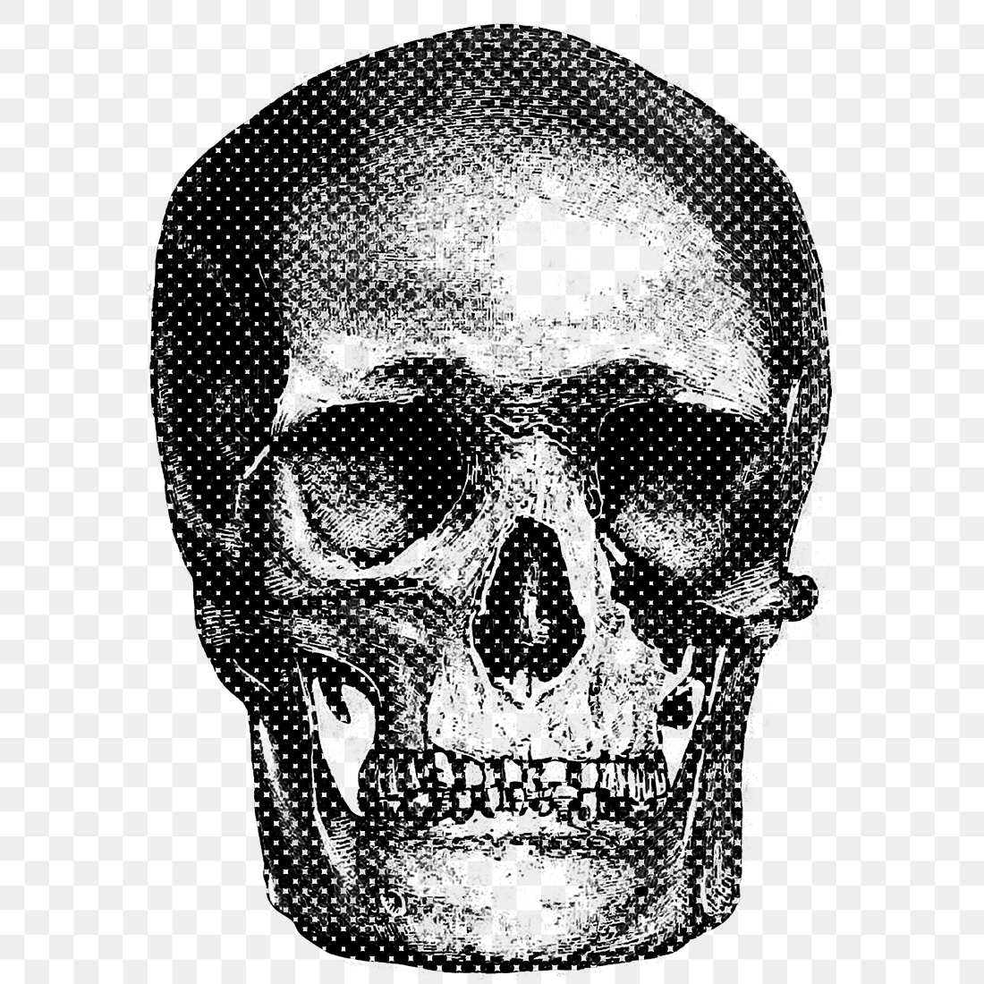 Hand Drawn Skull Halftone Style Premium Png Sticker Rawpixel