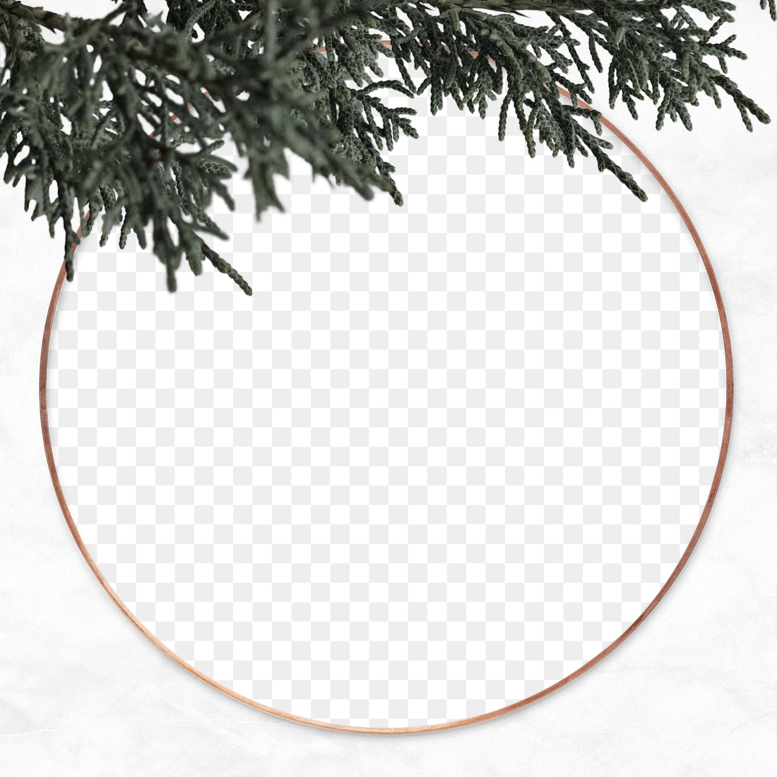 Png Christmas pine tree frame | Premium PNG - rawpixel