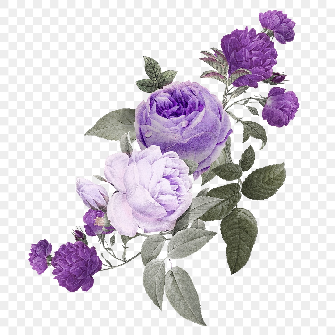 Purple png roses flower bouquet | Premium PNG Sticker - rawpixel