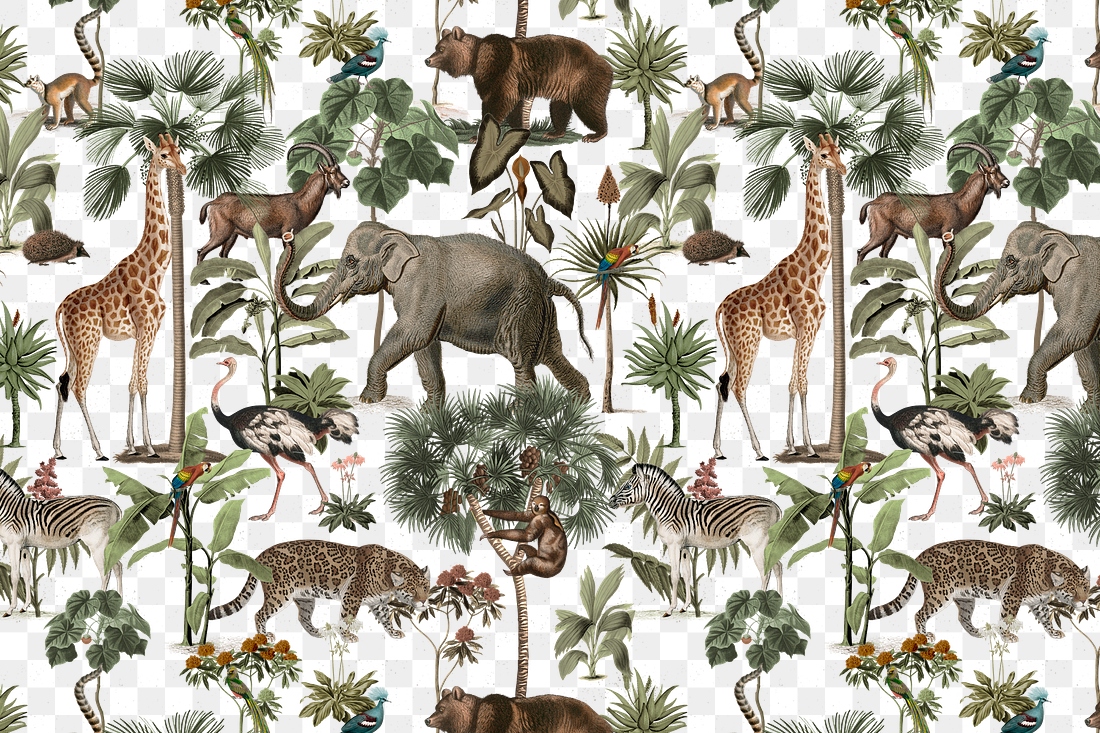 Jungle png animal pattern transparent | Premium PNG - rawpixel