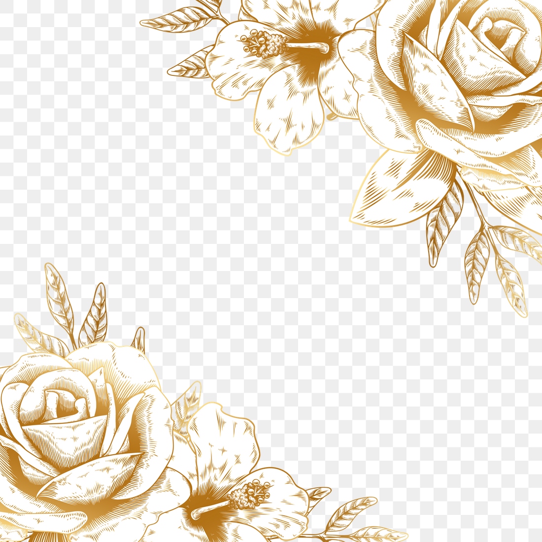 Hand drawn gold rose border | Premium PNG - rawpixel