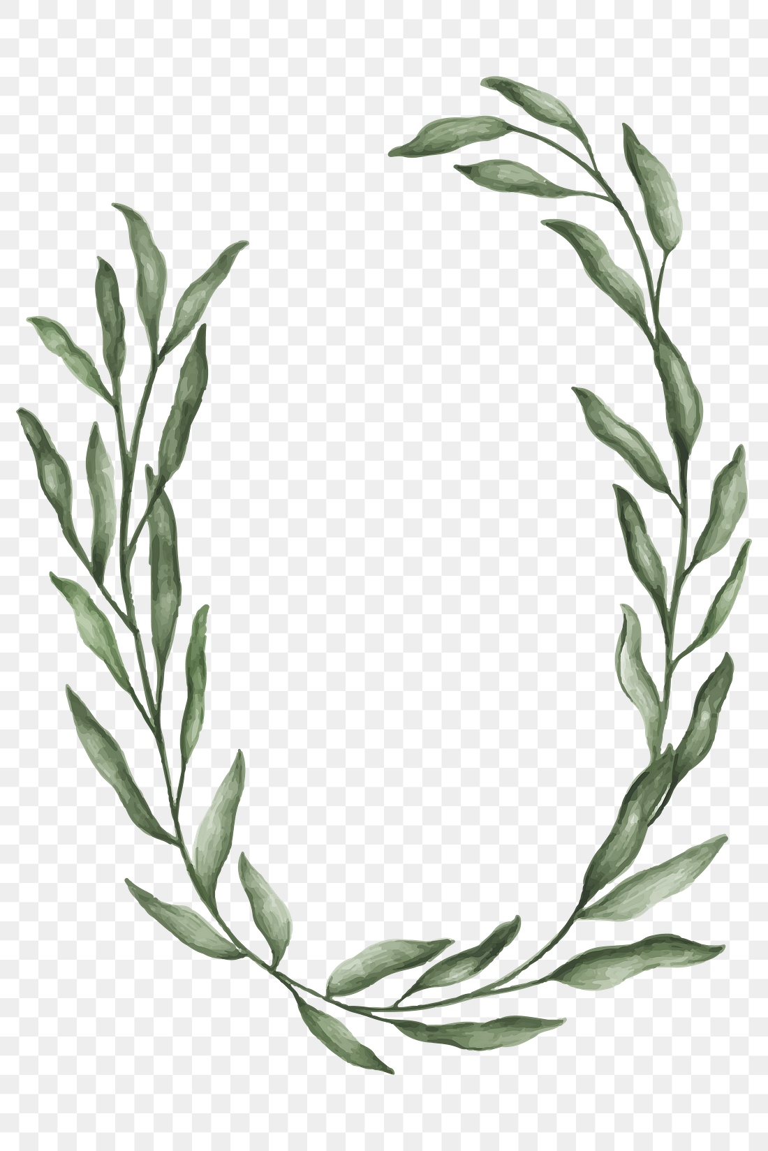 Minimal leaves frame transparent png | Premium PNG - rawpixel