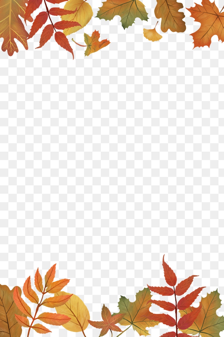 Fall leaves png background transparent | Premium PNG - rawpixel