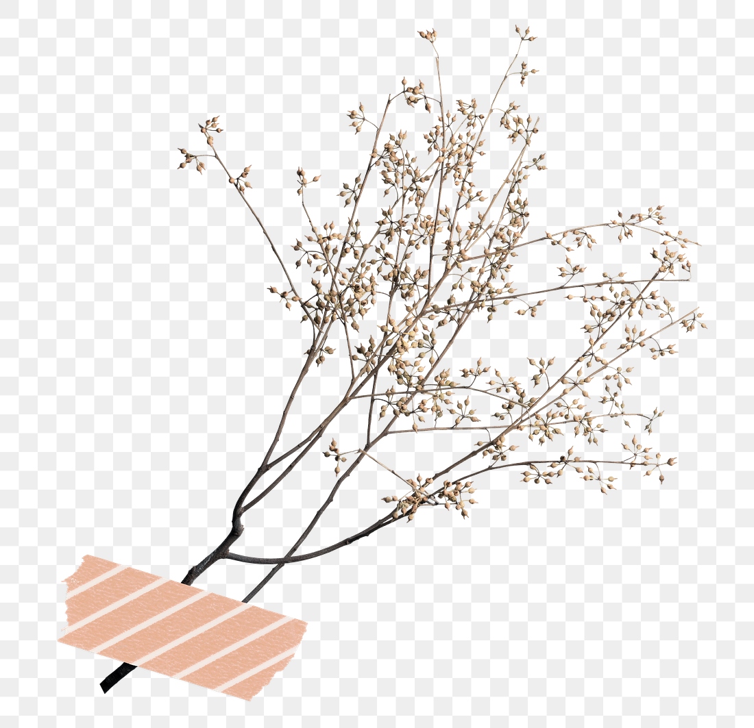 Leaf branch png collage element, | Premium PNG - rawpixel