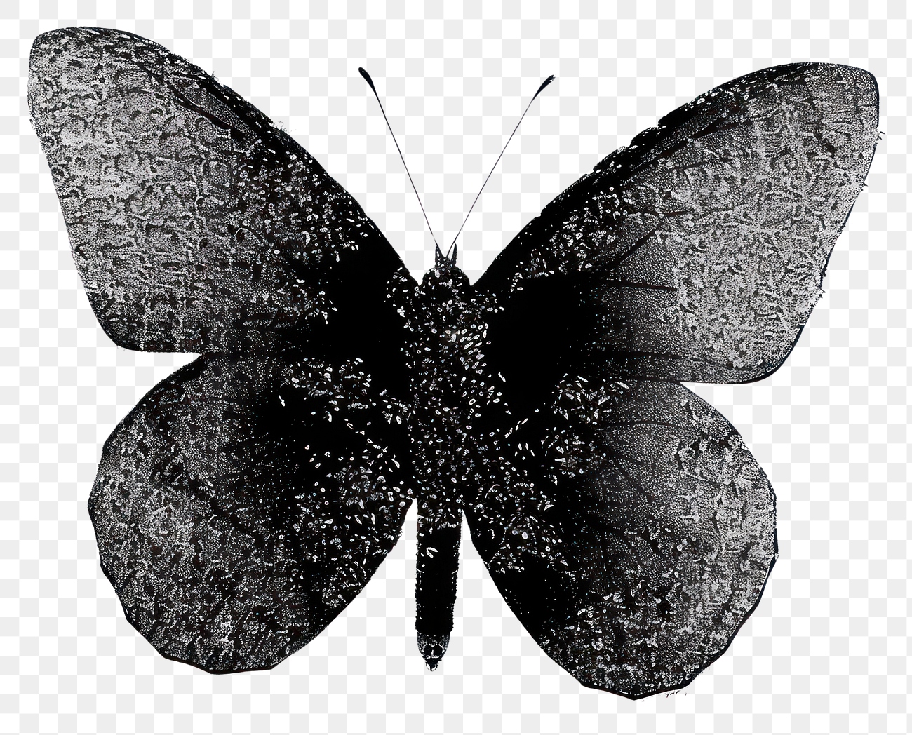 PNG Intricate monochrome butterfly illustration | Free PNG - rawpixel