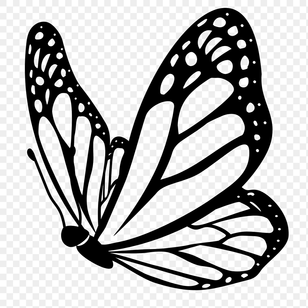 Butterfly png doodle sticker, black | Premium PNG - rawpixel