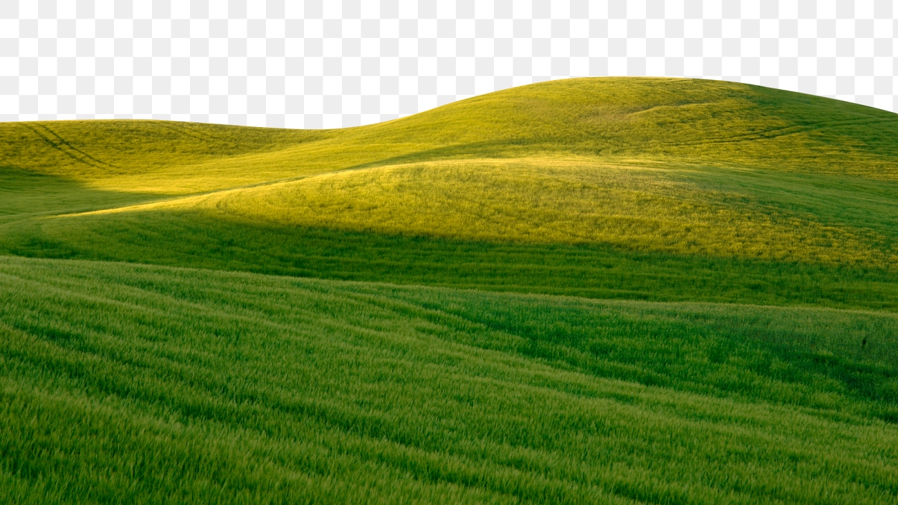 Green hills png border, transparent Free PNG rawpixel