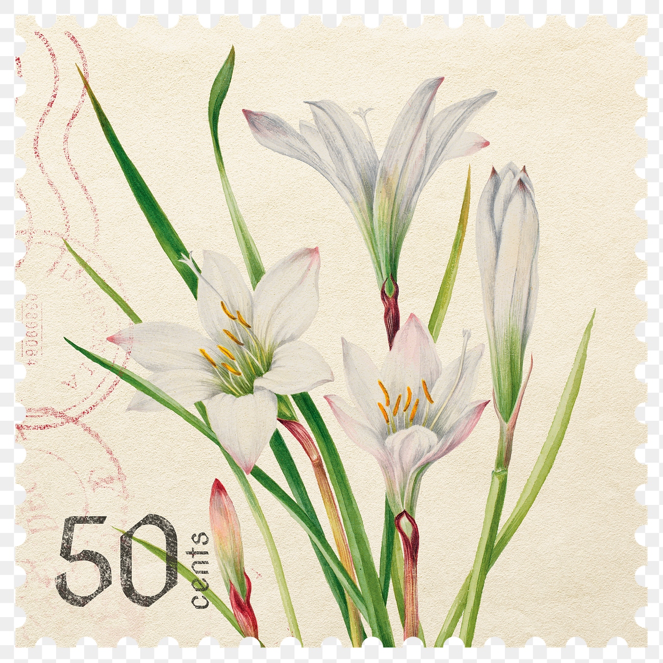PNG floral postage stamp, aesthetic | Premium PNG - rawpixel