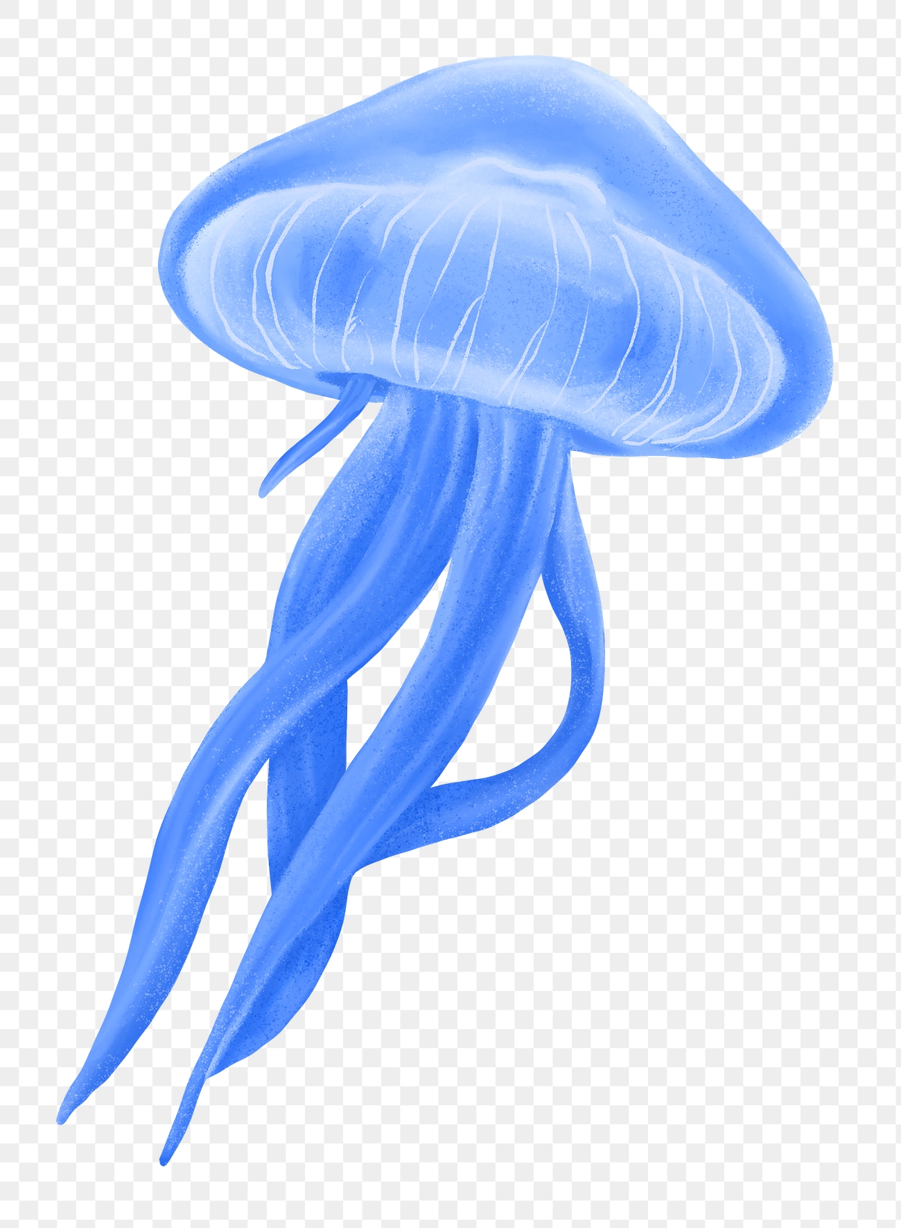 Blue Jellyfish Png Sticker, Animal 