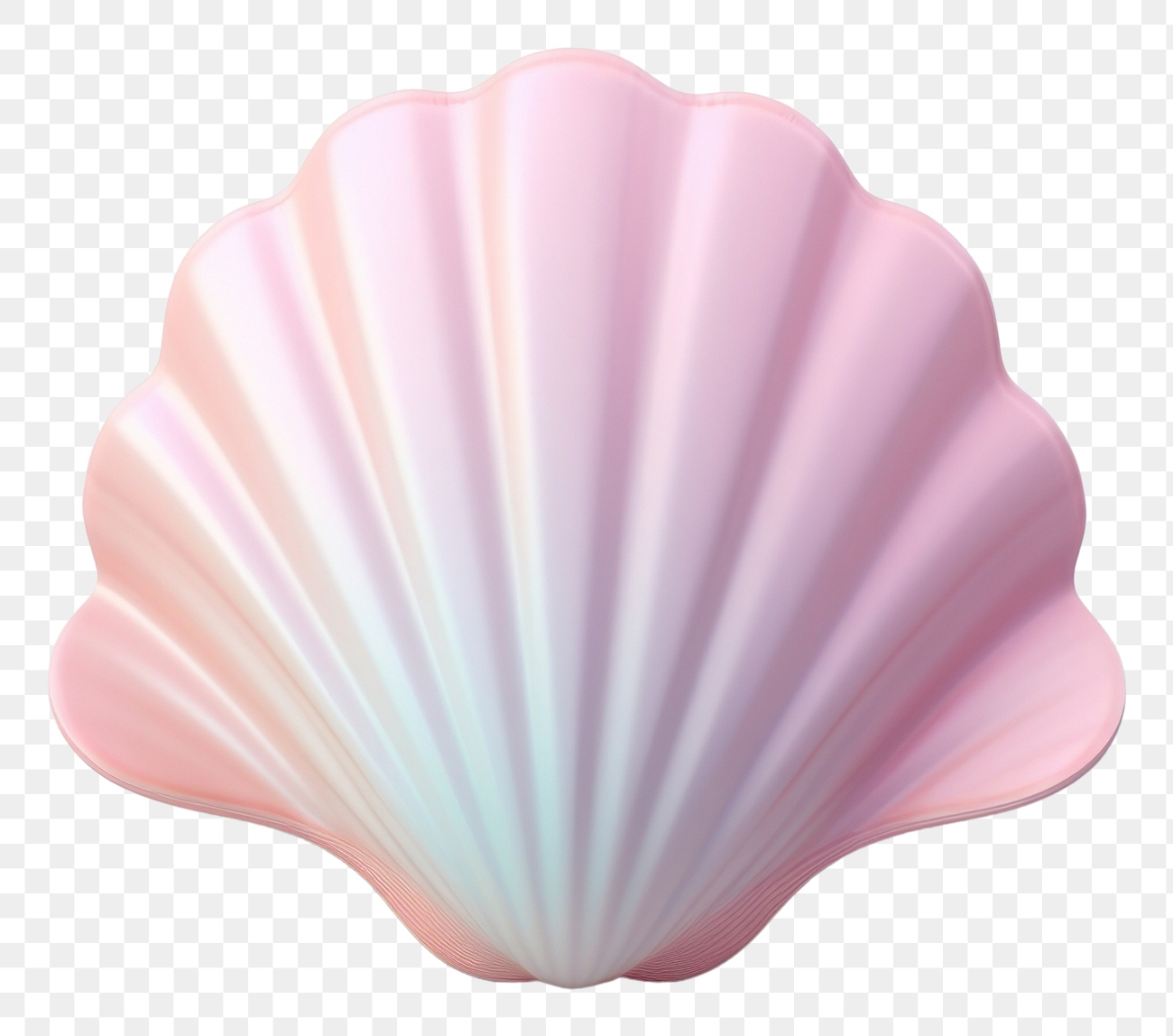 PNG Seashell clam white background | Premium PNG - rawpixel