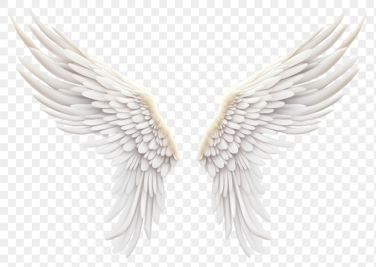 PNG Angel bird wing transparent | Premium PNG - rawpixel