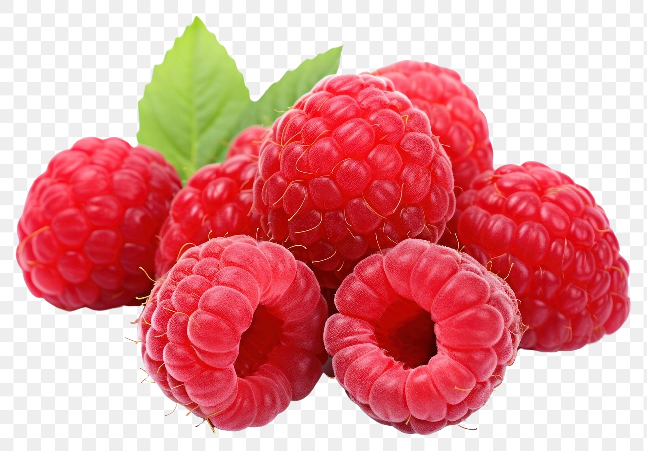 PNG Raspberry fruit plant food. | Premium PNG - rawpixel