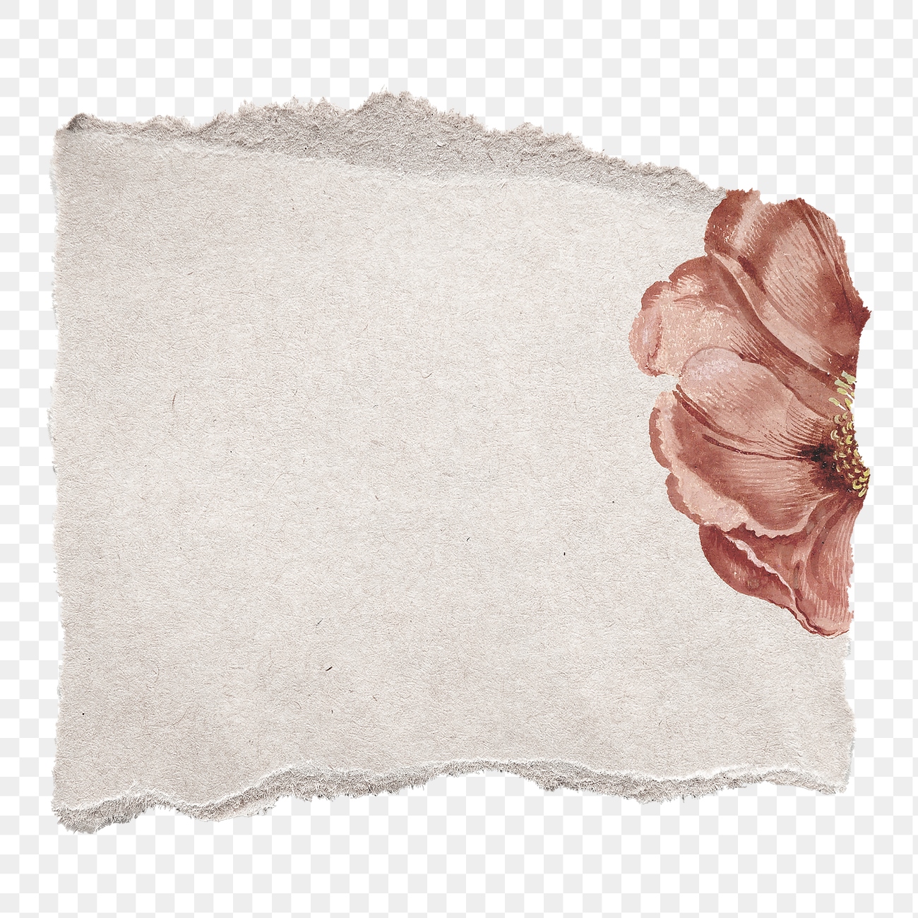 Ripped flower png ephemera paper | Premium PNG - rawpixel