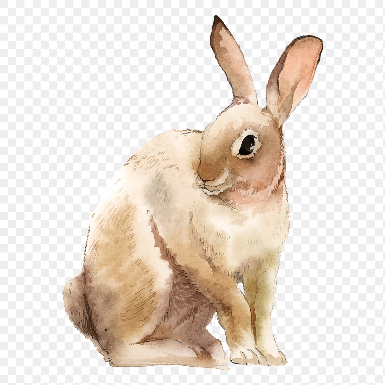 Easter rabbit png clipart, watercolor | Premium PNG - rawpixel