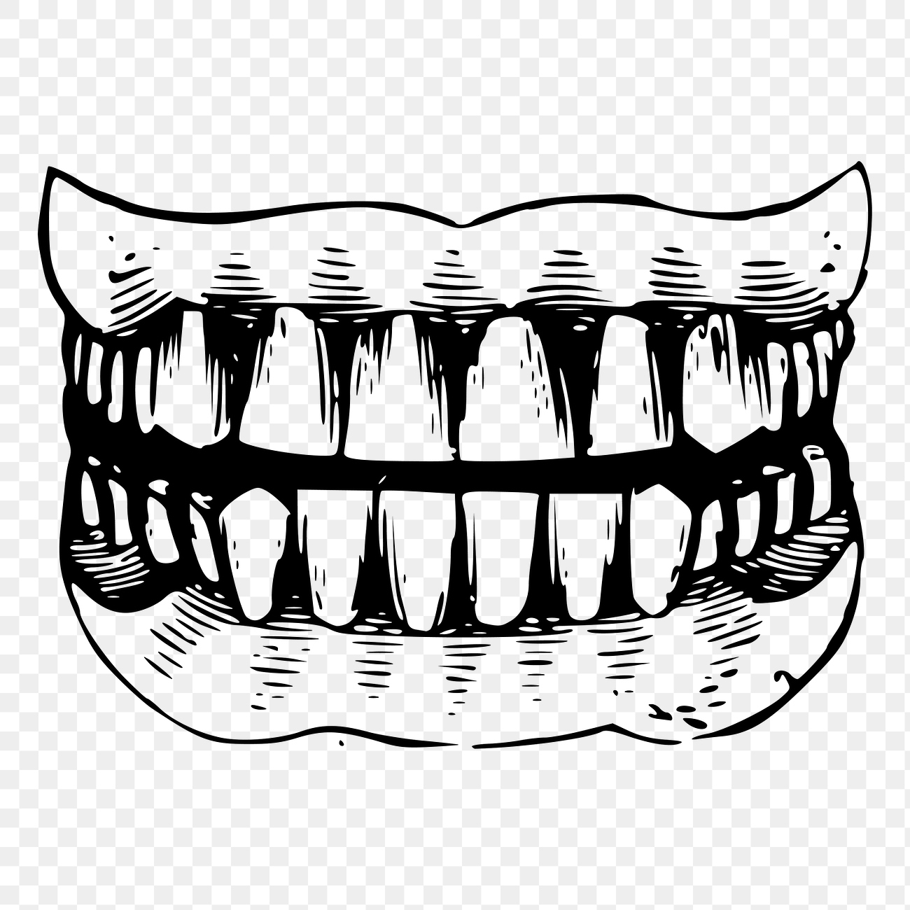 Human teeth png clipart, healthy | Free PNG - rawpixel