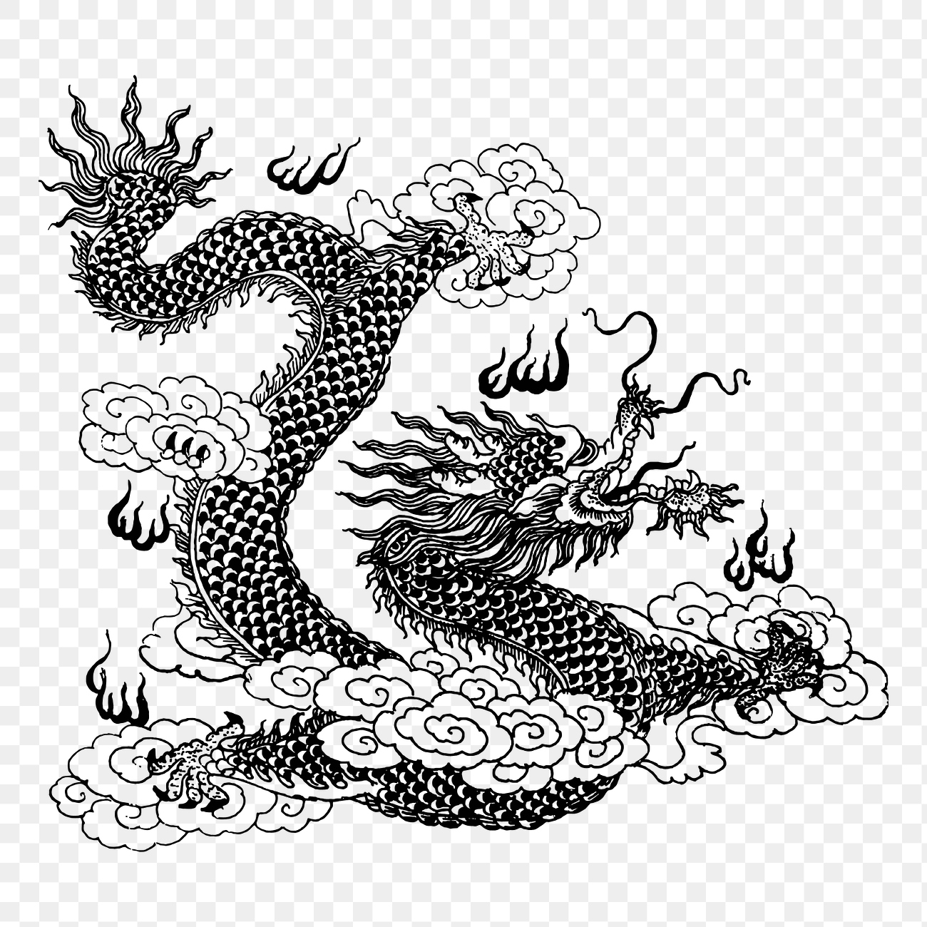 Asian Dragon Png Drawing Sticker 