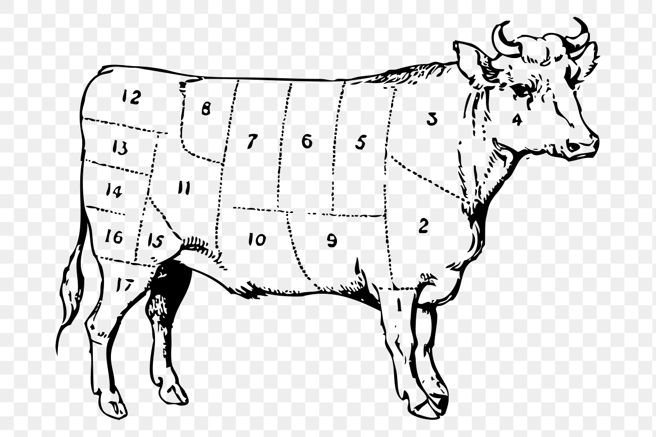 Beef diagram png sticker, cow | Free PNG - rawpixel