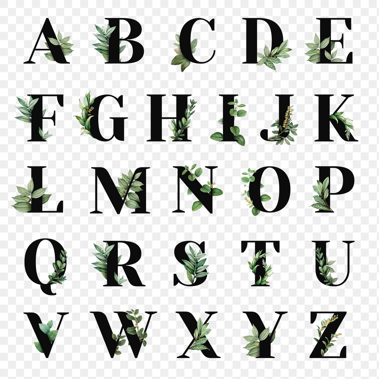 Botanical capital alphabet png set | Premium PNG - rawpixel