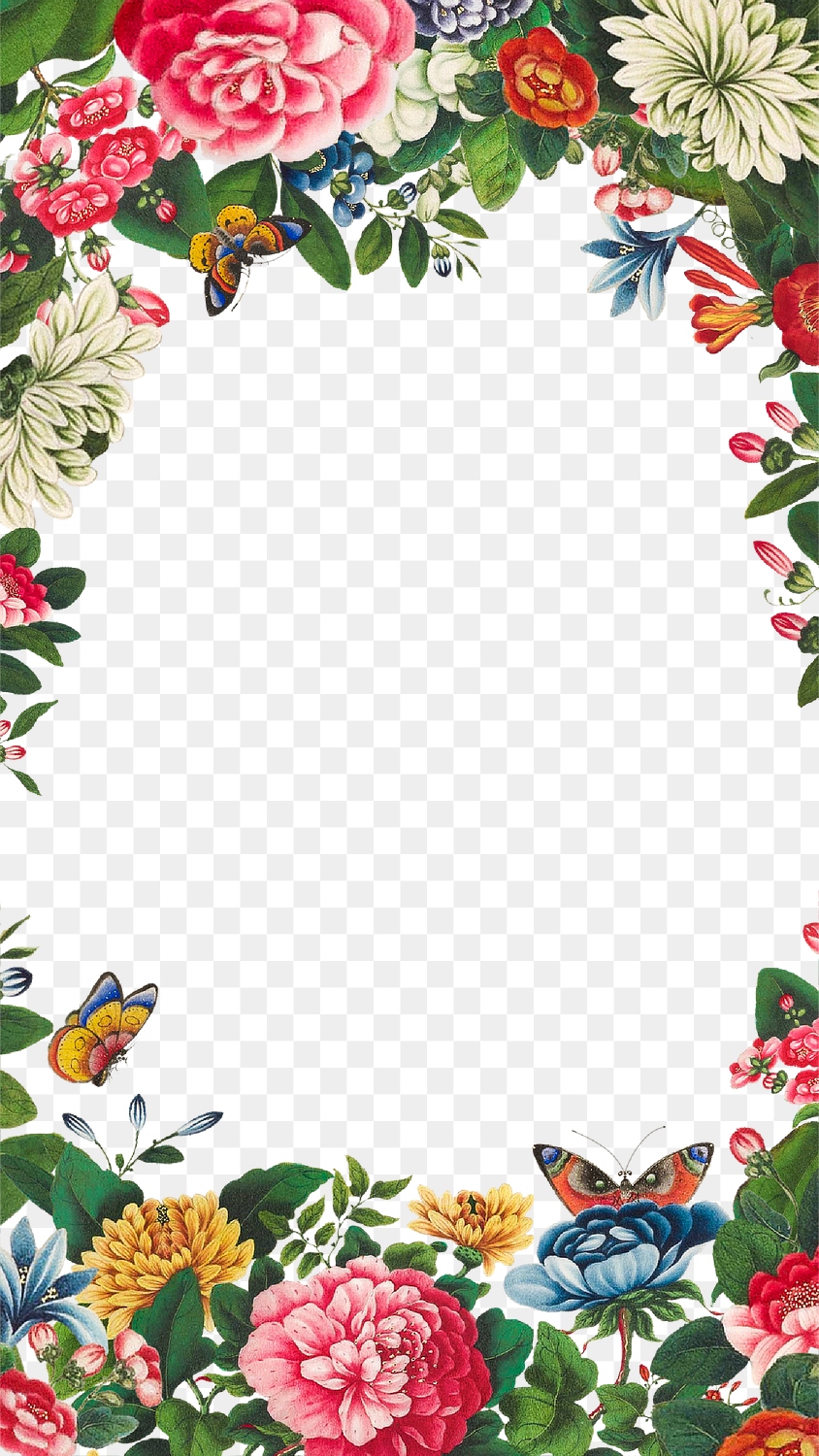 Vintage illustration flowers frame transparent | Premium PNG - rawpixel