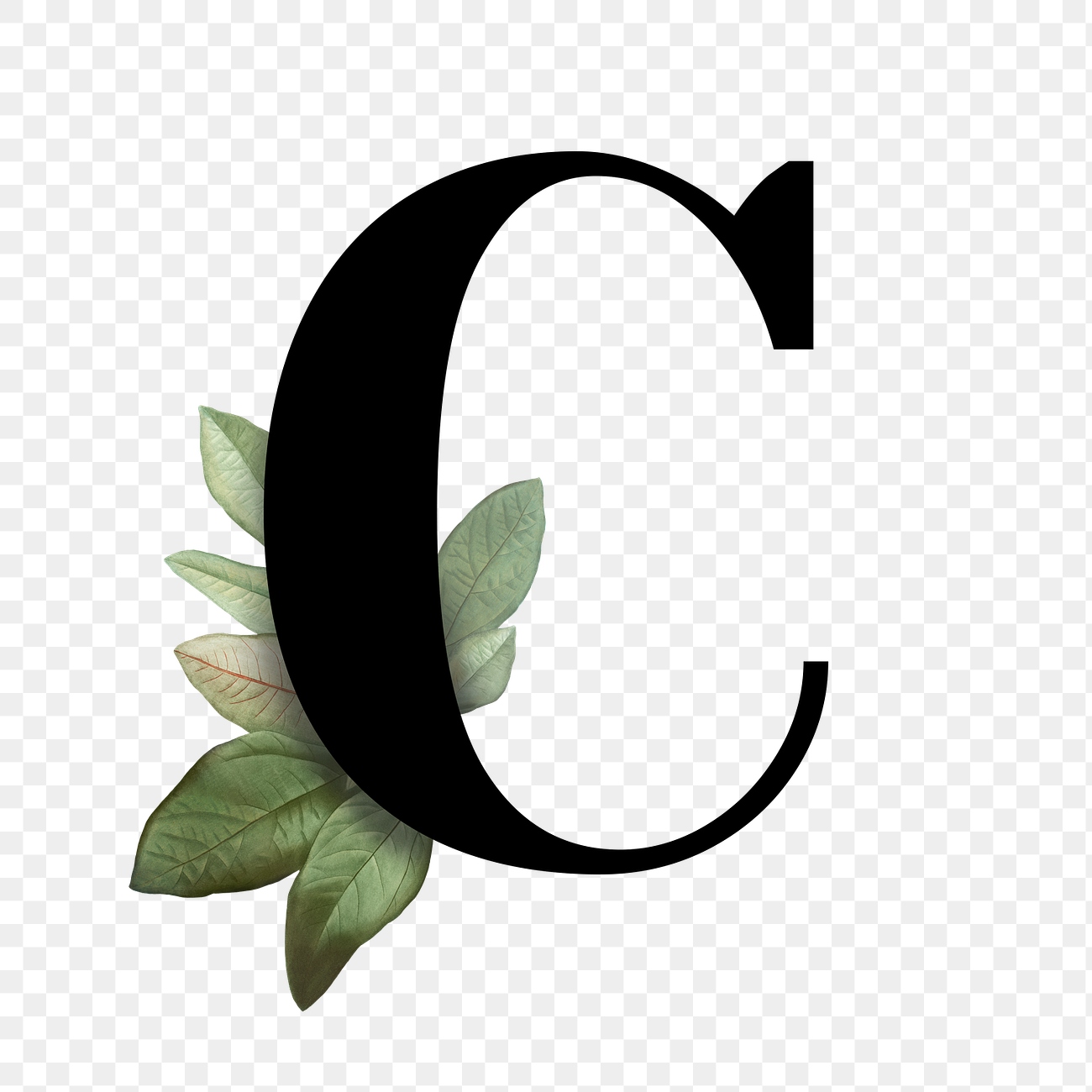 Botanical capital letter C transparent | Premium PNG Sticker - rawpixel