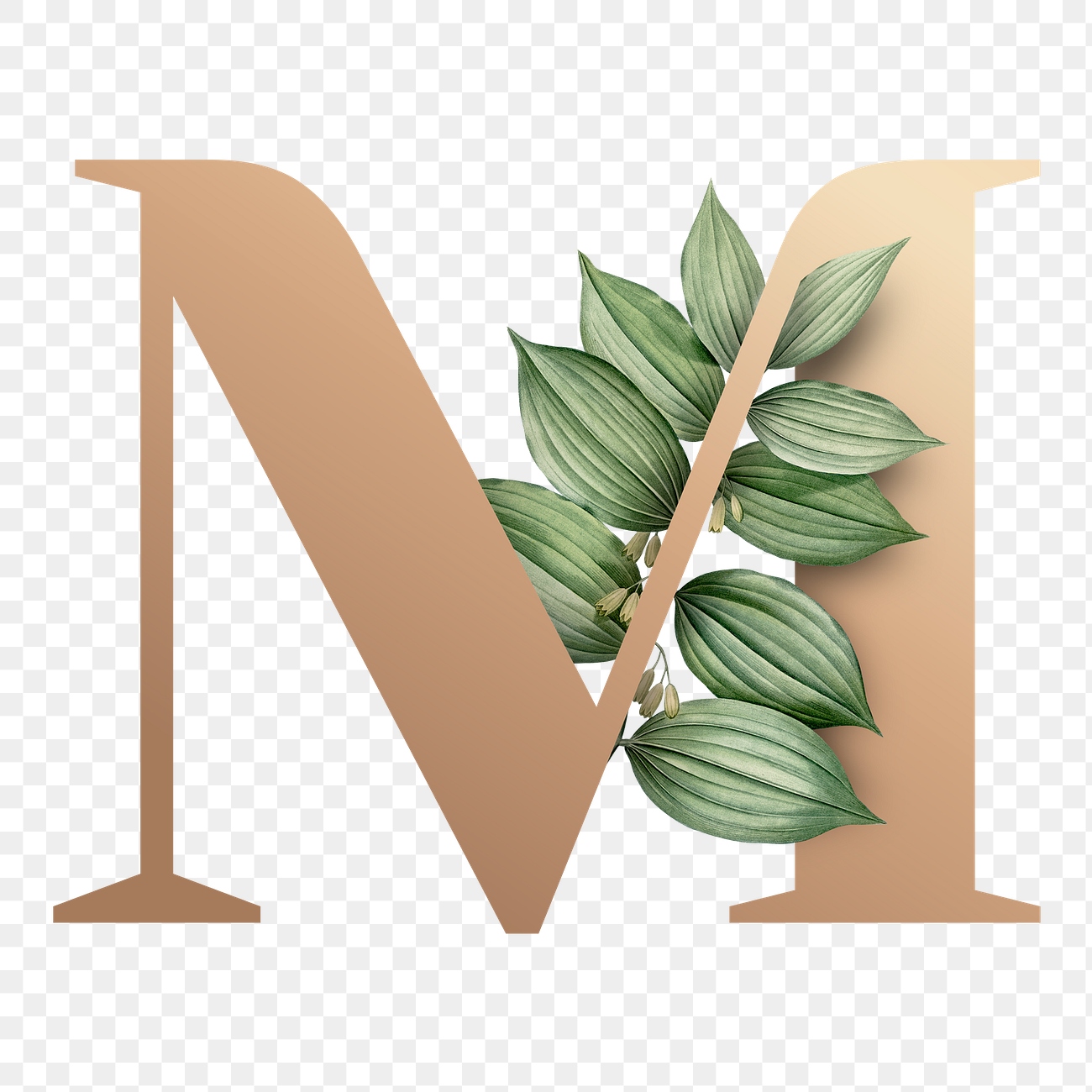 Botanical capital letter M transparent | Premium PNG Sticker - rawpixel