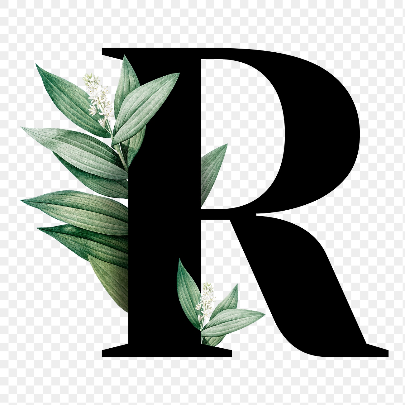 Botanical Capital Letter R Transparent Free Png Sticker Rawpixel