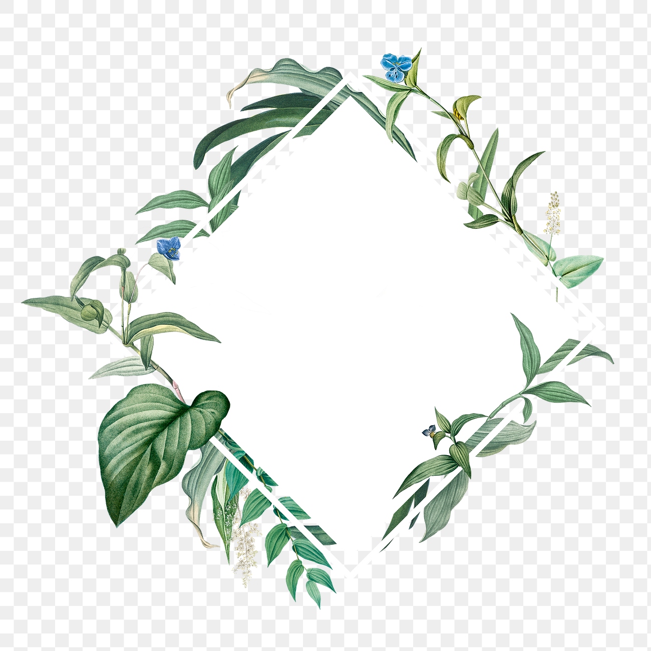 Empty frame green leaves design | Premium PNG Sticker - rawpixel