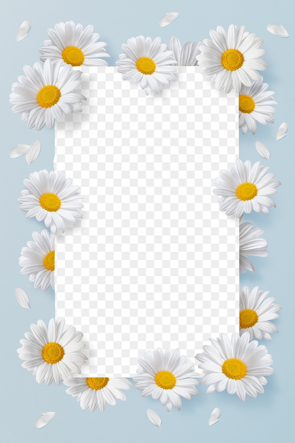 Png White Flowers Frame, Floral 