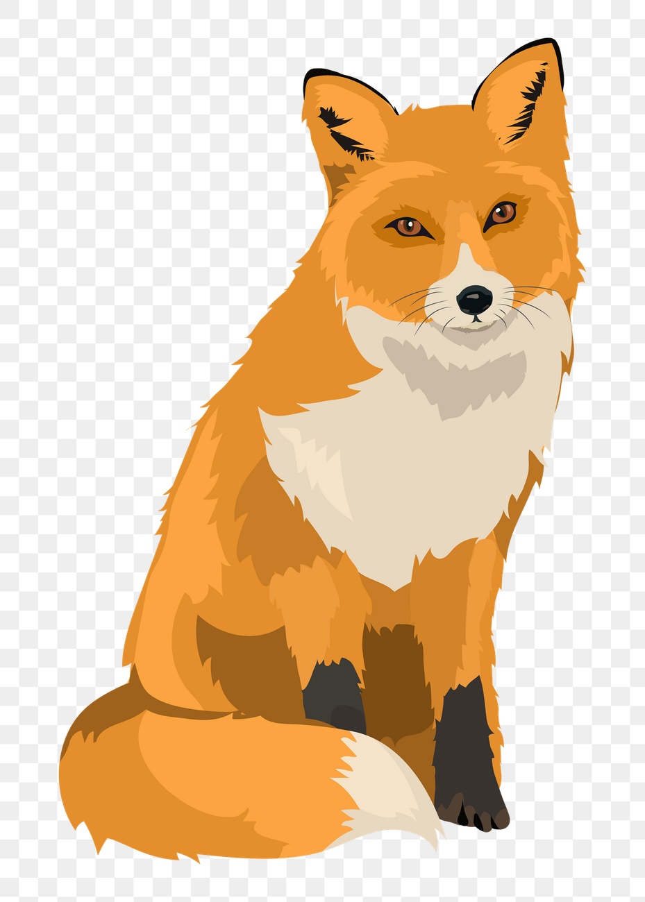 Fox illustration png sticker, transparent | Premium PNG - rawpixel