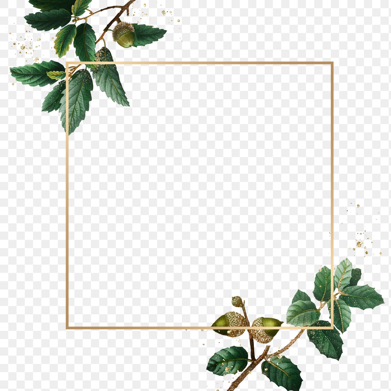 Acorn pattern frame png oak | Premium PNG - rawpixel