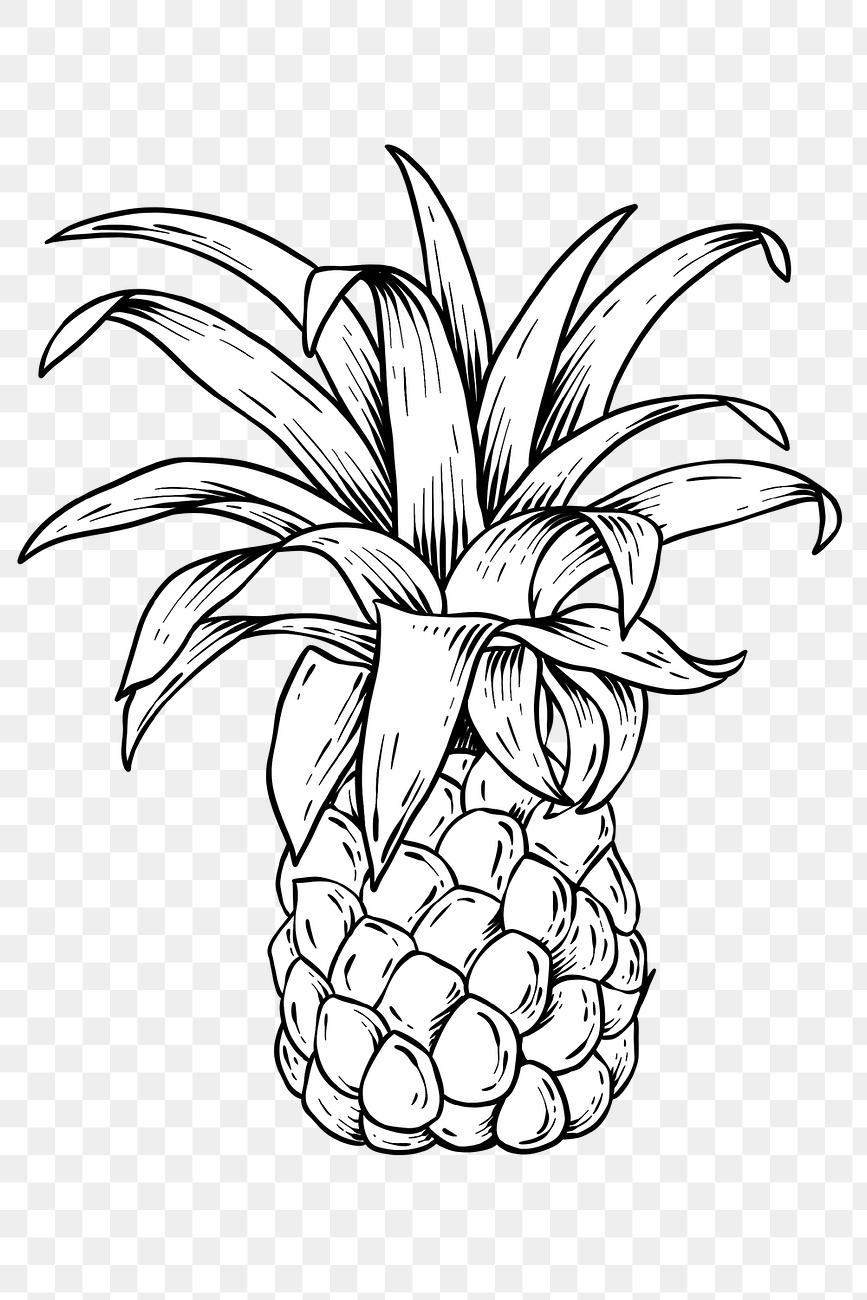 White pineapple sticker design element Free PNG Sticker rawpixel