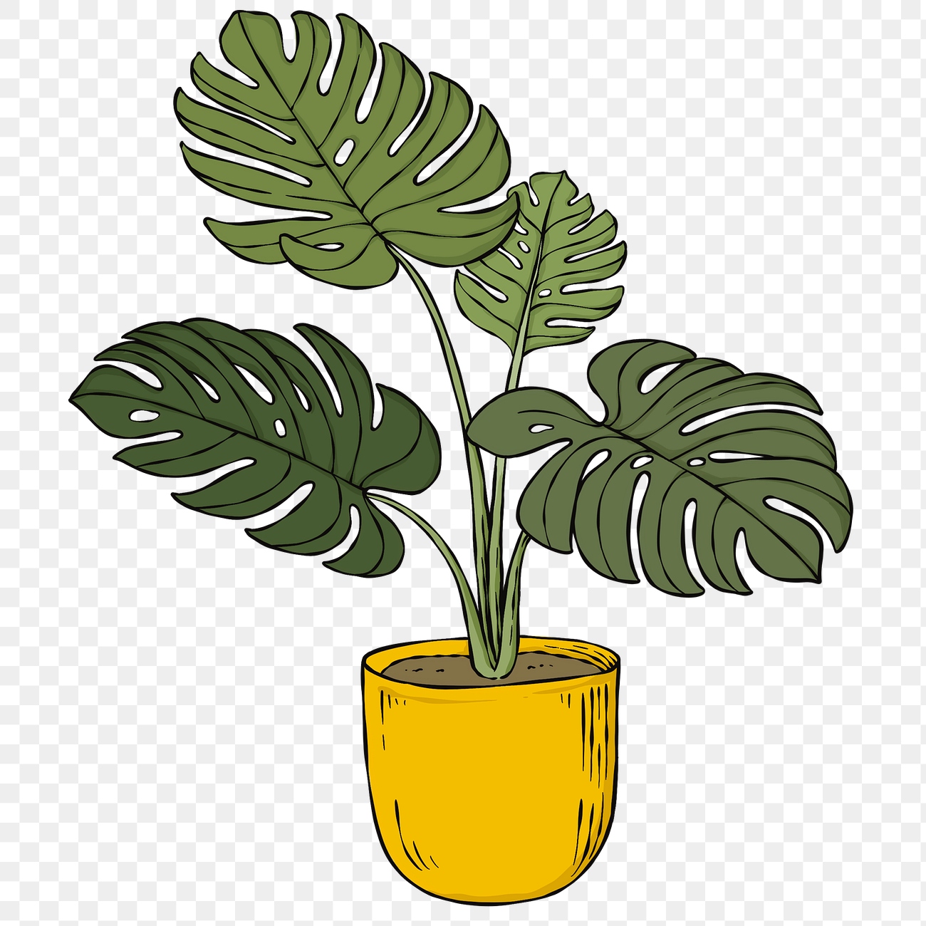 Retro colorful monstera plant png | Premium PNG Sticker - rawpixel