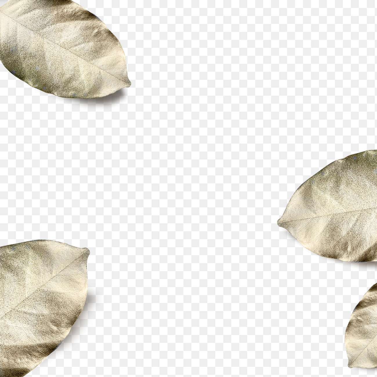 Gold spray painted leaves png Premium PNG rawpixel