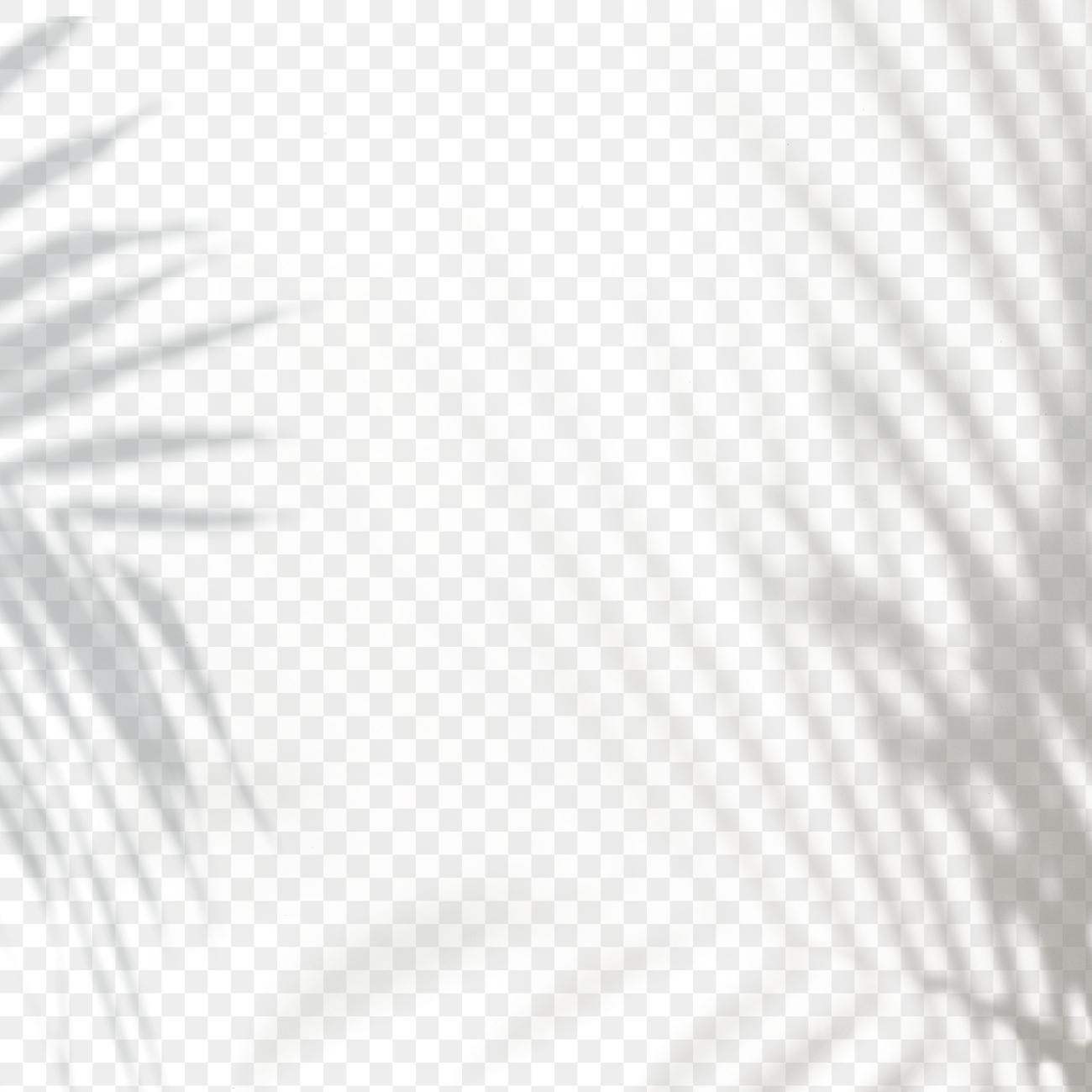 Palm leaves shadow frame design | Premium PNG - rawpixel