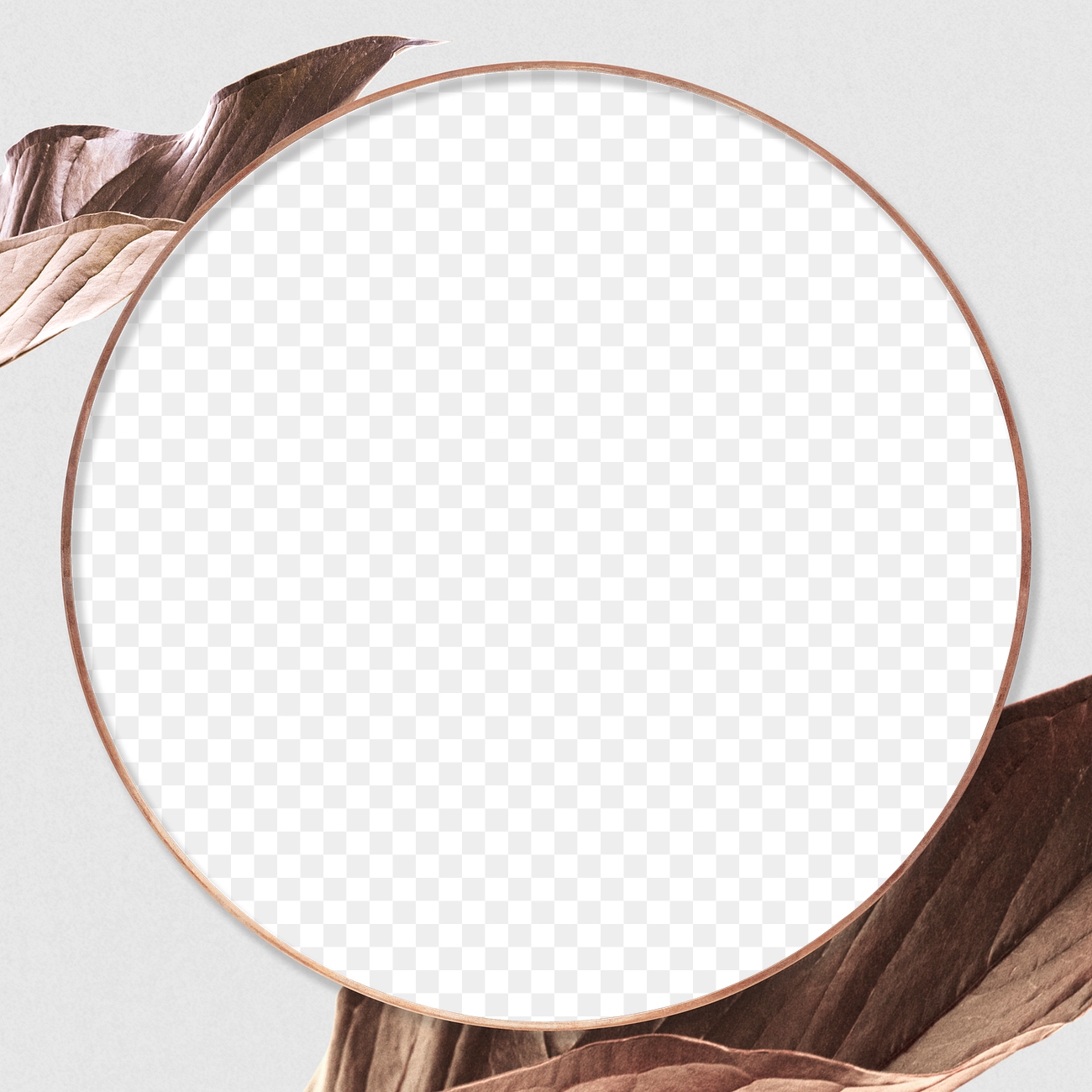 Round dried flower frame png | Premium PNG - rawpixel