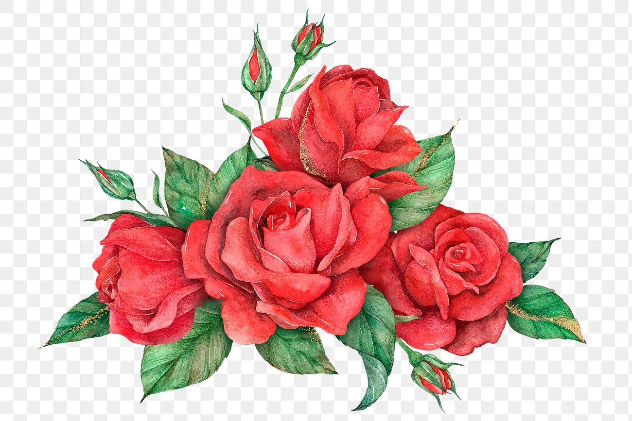Hand drawn png red rose | Free PNG Sticker - rawpixel
