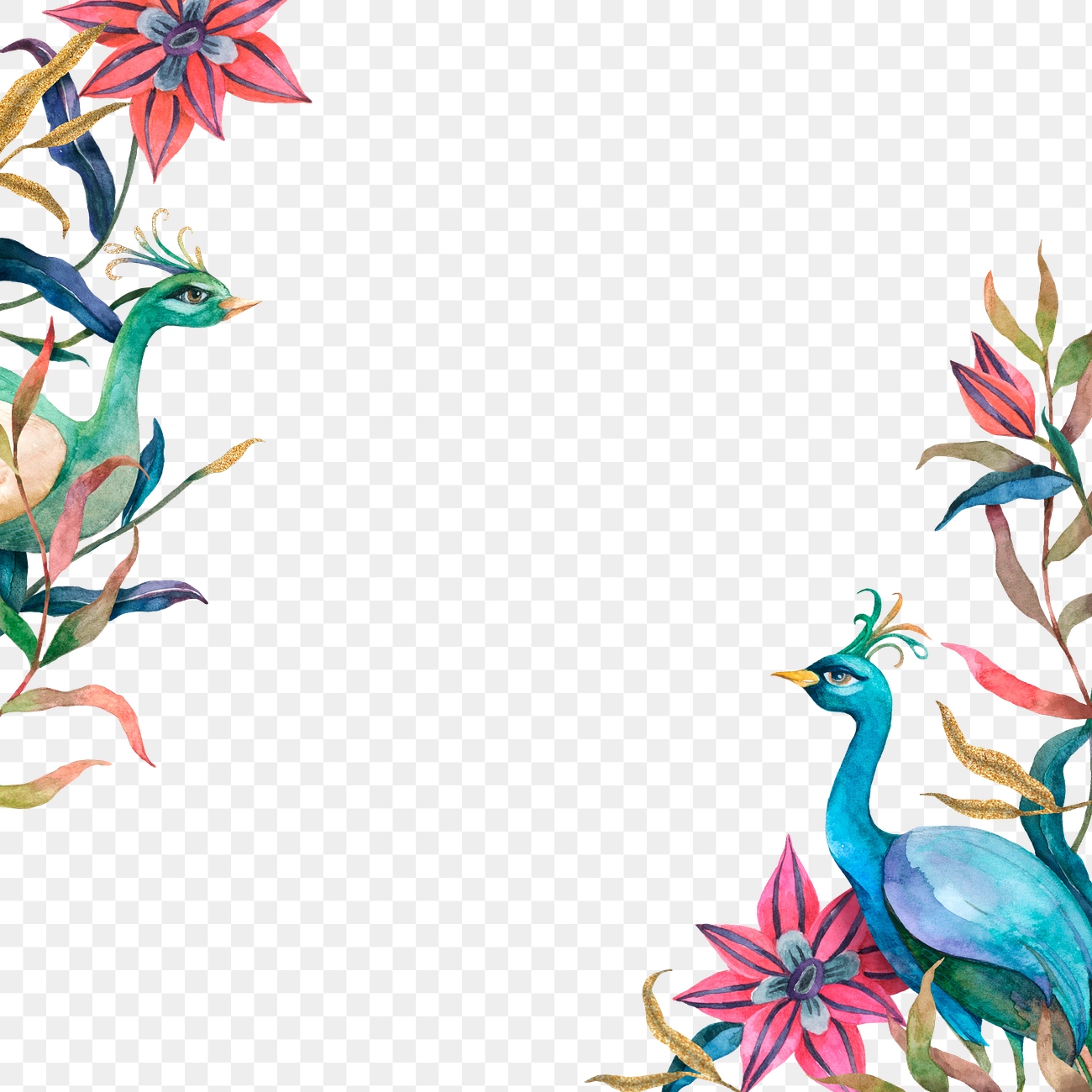 Png frame watercolor peacock and | Premium PNG - rawpixel