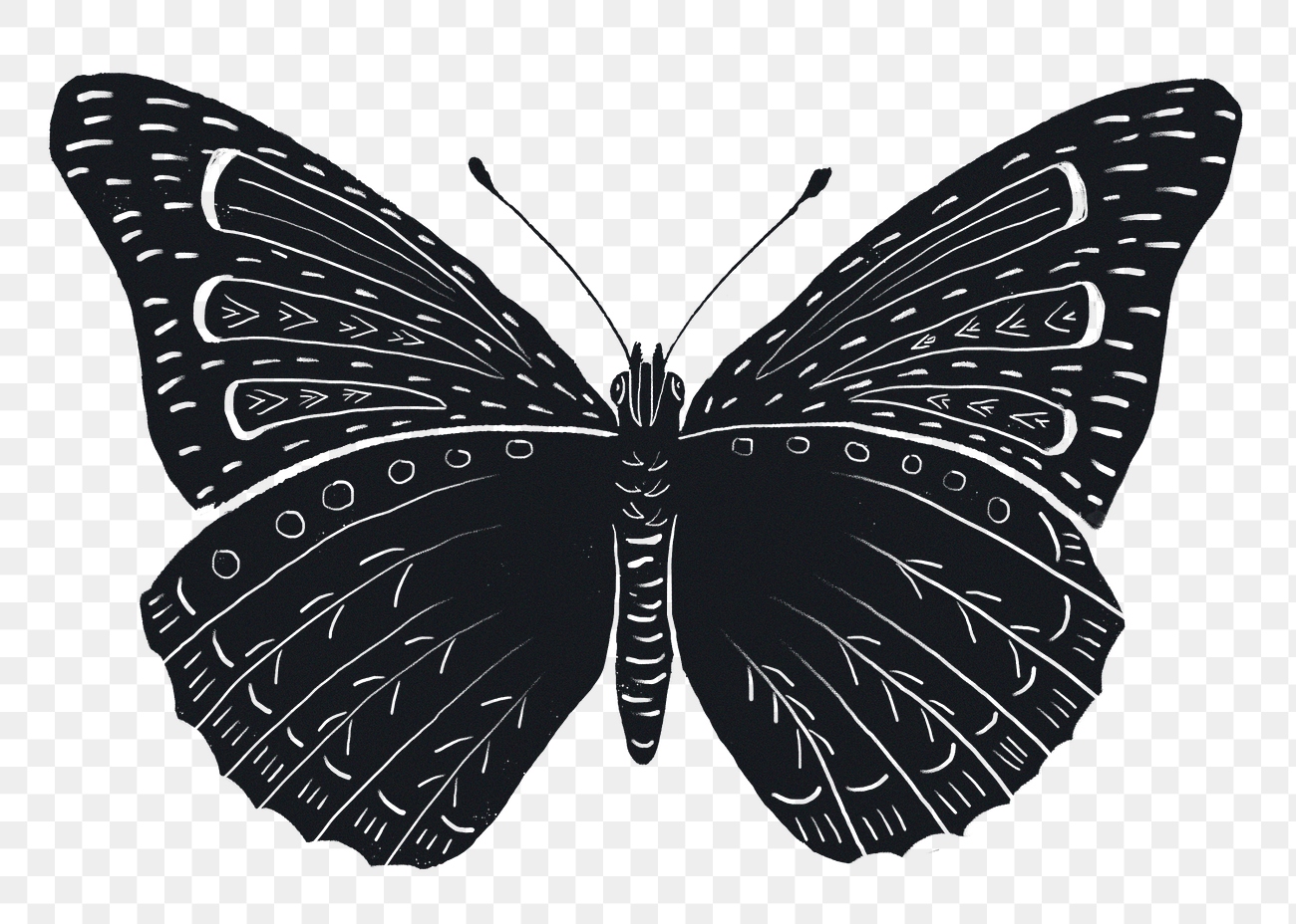 Vintage Butterfly Insect Png Sticker 