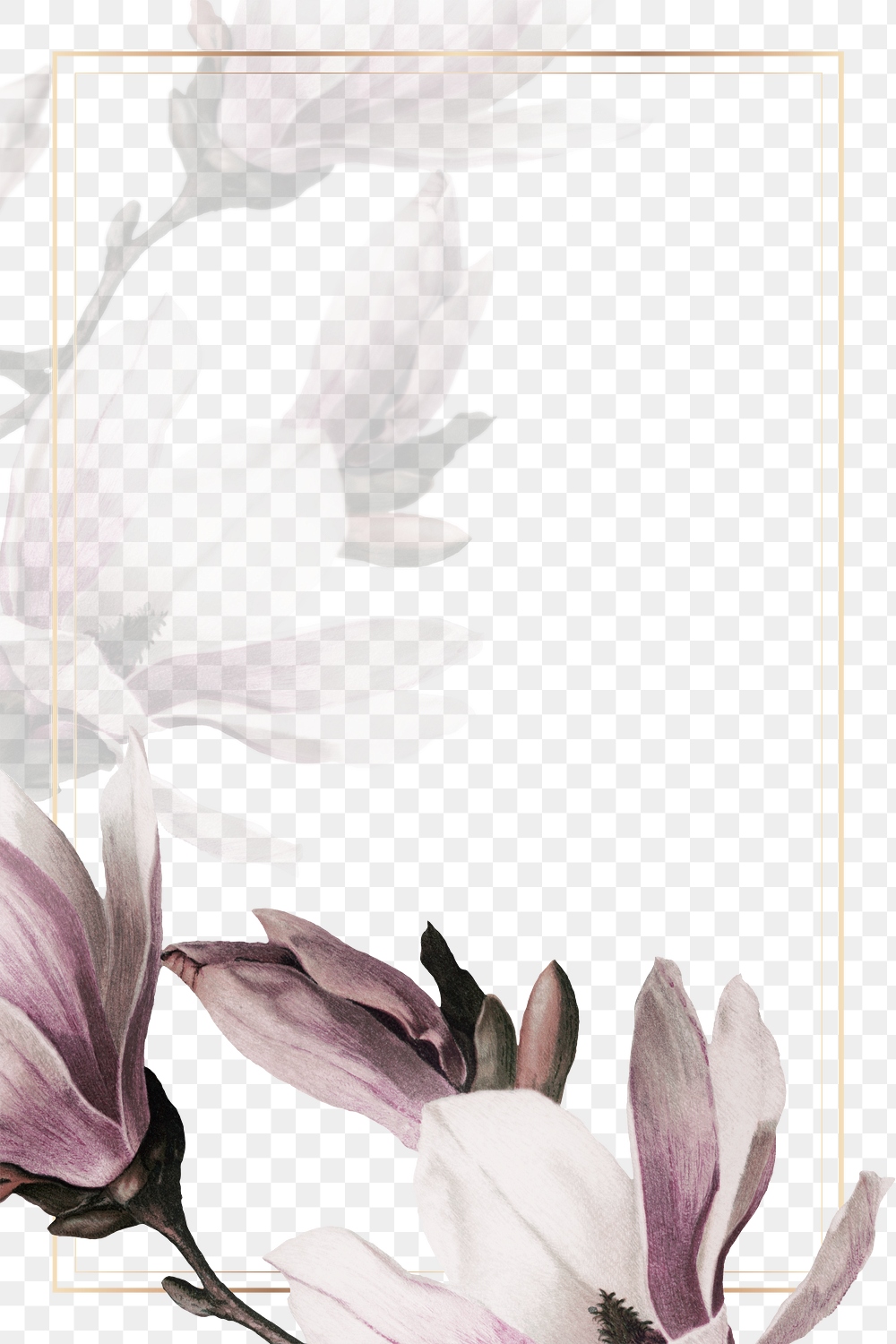 Png gold frame magnolia border | Premium PNG - rawpixel