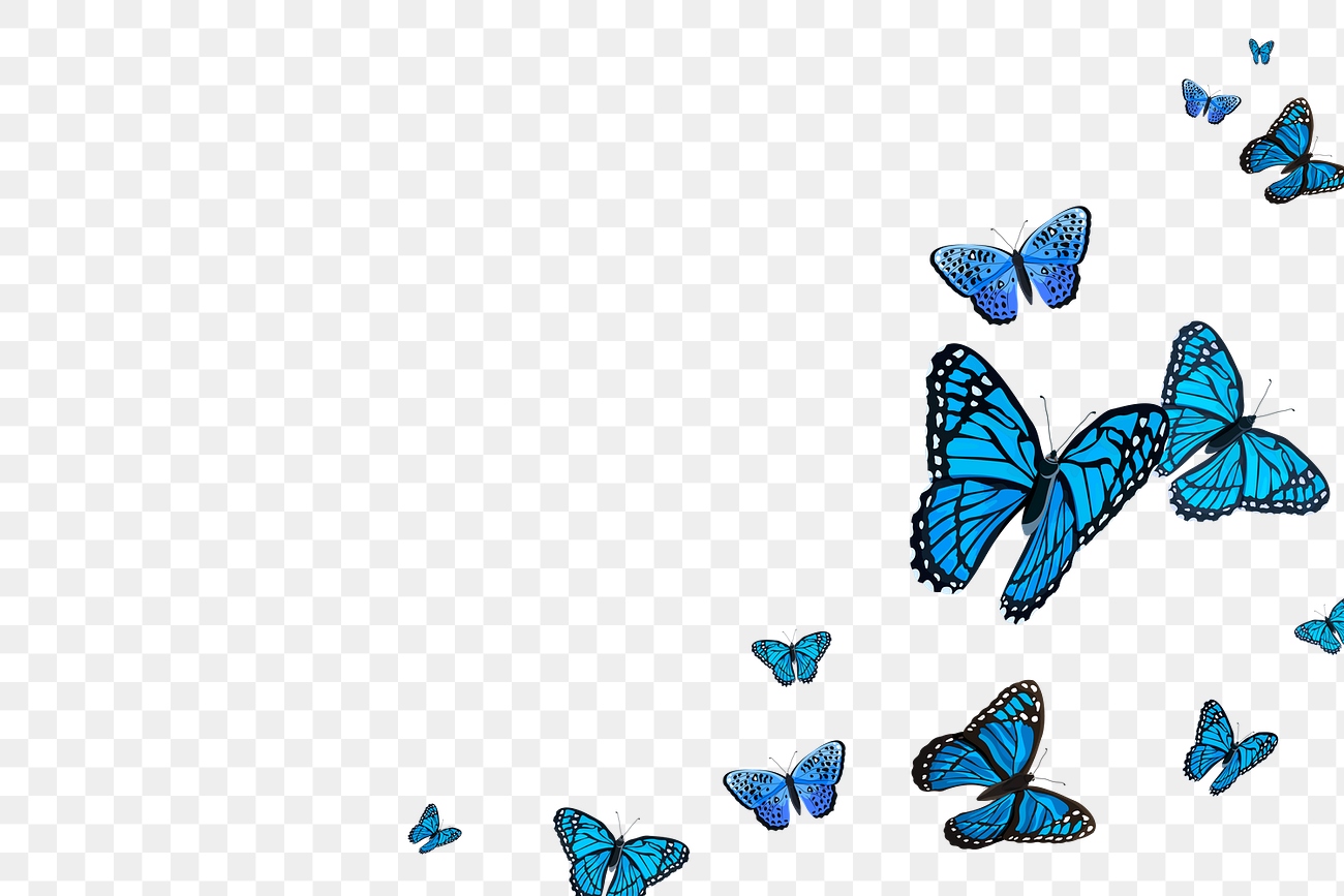Blue butterfly png border, transparent Premium PNG rawpixel
