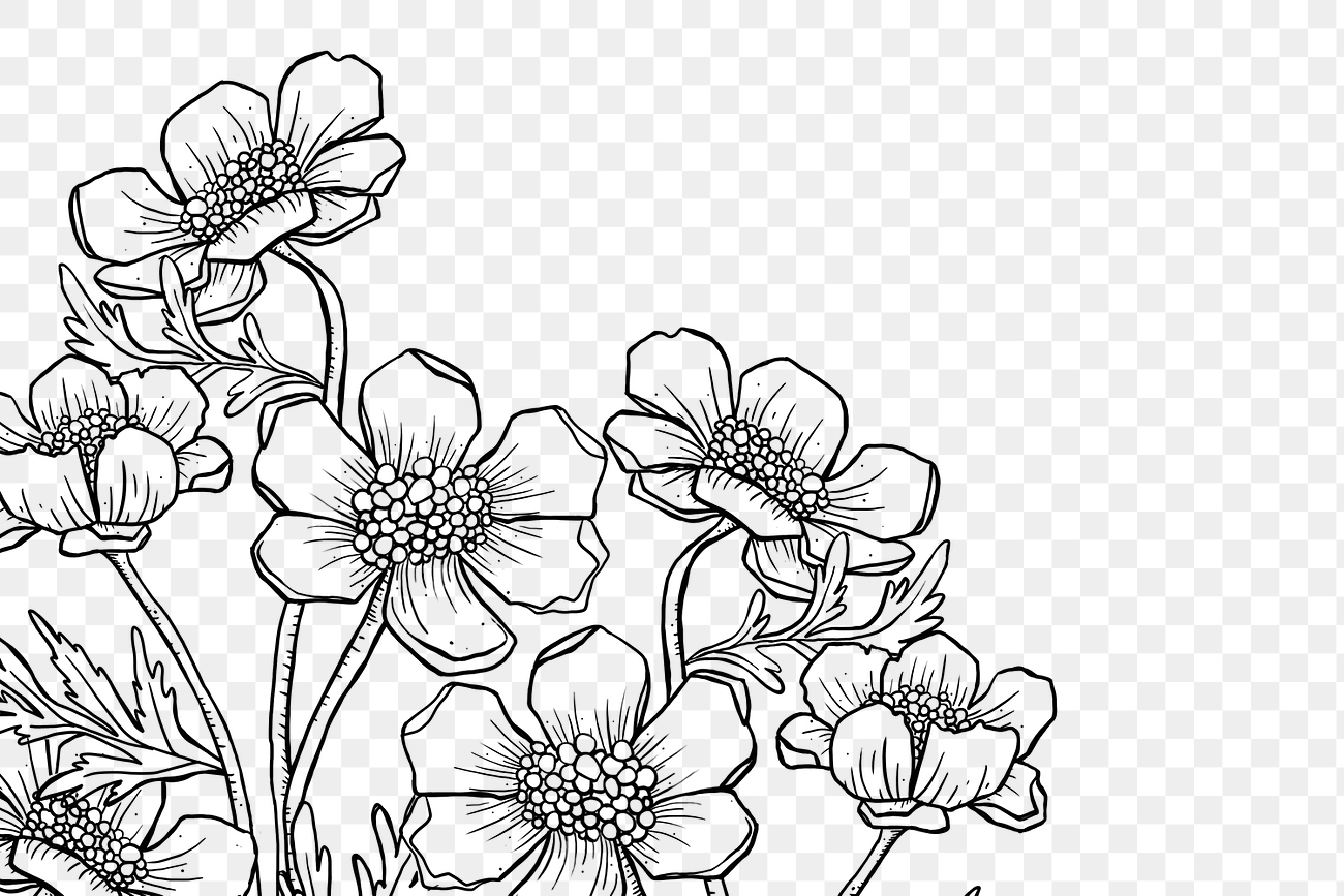 Floral line art png border, | Premium PNG - rawpixel