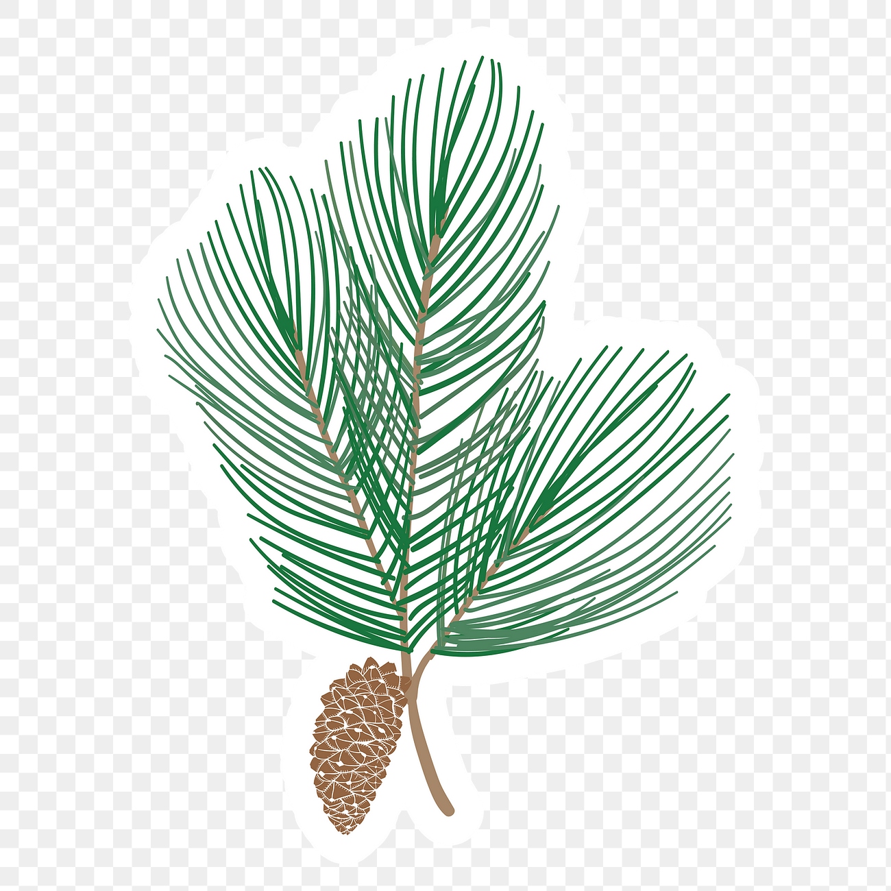 Cute pine tree branch sticker Free PNG Sticker rawpixel