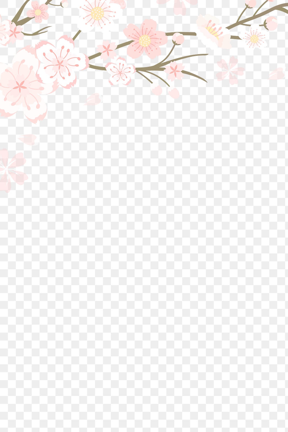 Png Japanese cherry blossom transparent | Free PNG - rawpixel