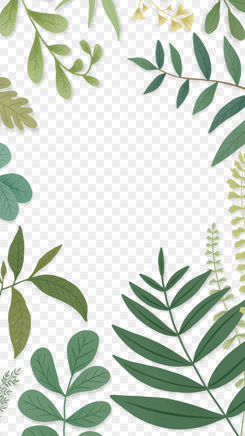 Green leaves frame transparent png | Premium PNG - rawpixel