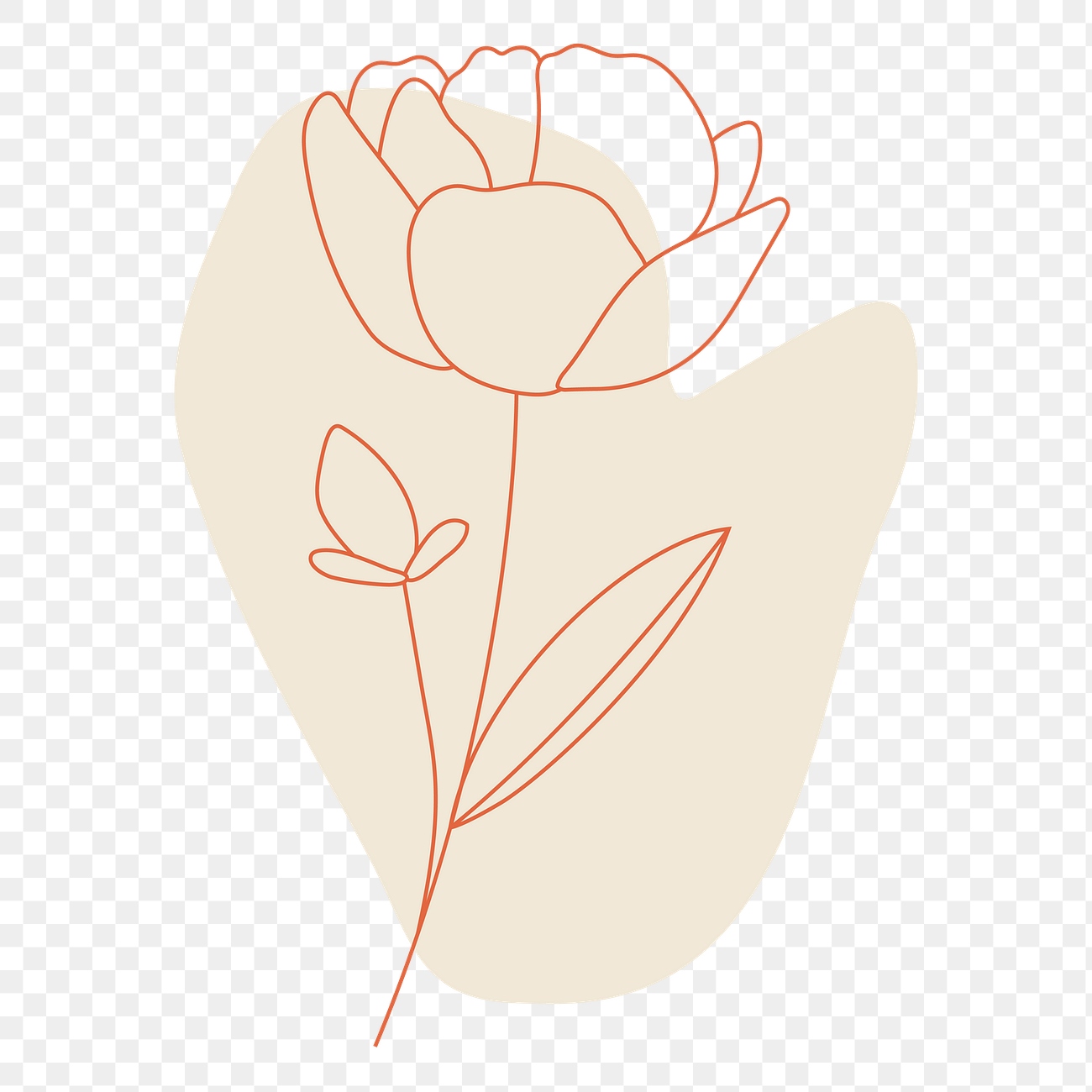 Flower line art transparent png | Premium PNG Sticker - rawpixel