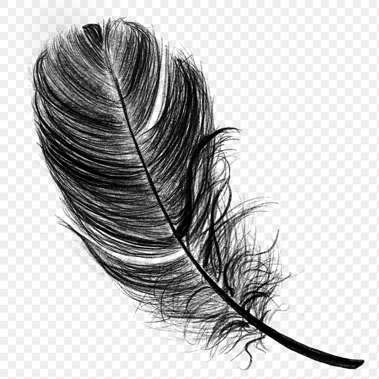 Png black feather design element | Free PNG Sticker - rawpixel