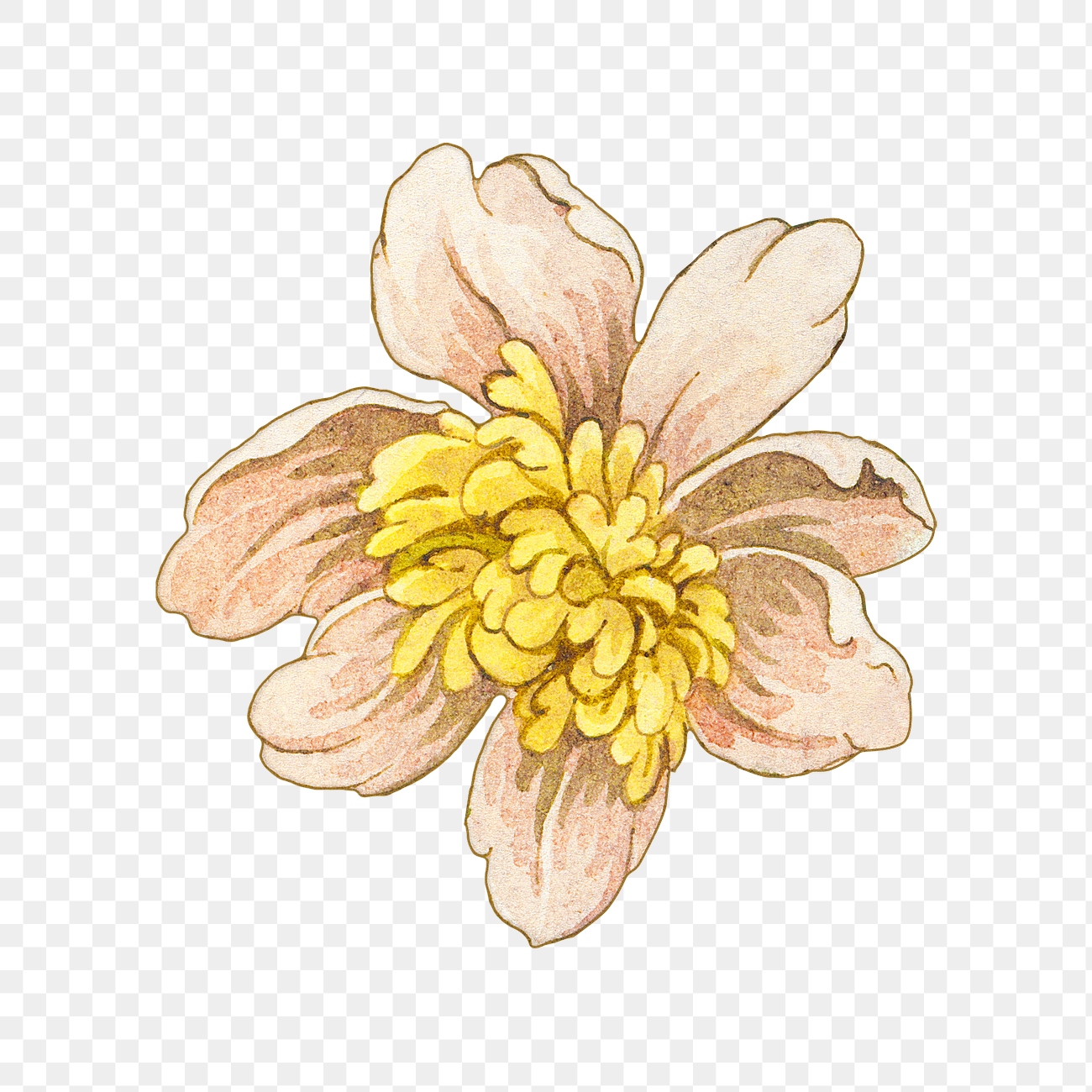 Vintage blooming yellow flower design  free png sticker  rawpixel