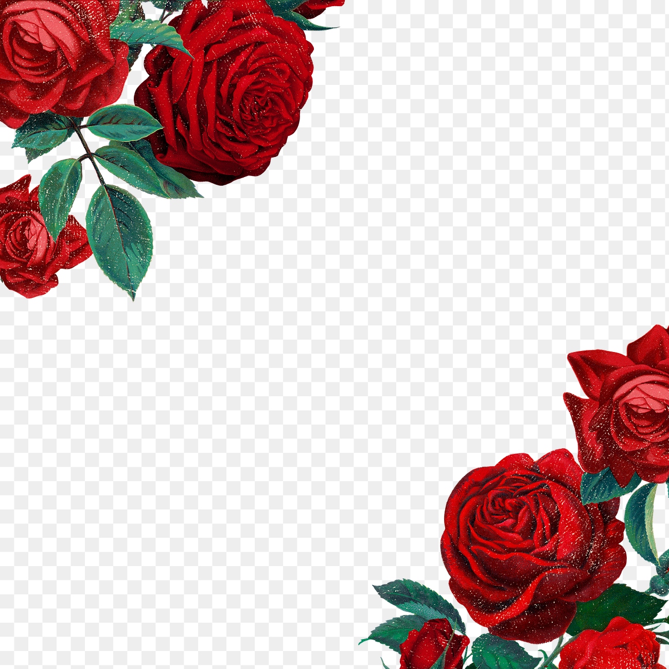 Red rose png border frame, | Premium PNG - rawpixel